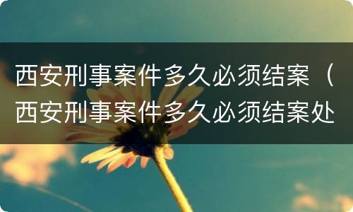 西安刑事案件多久必须结案（西安刑事案件多久必须结案处理）