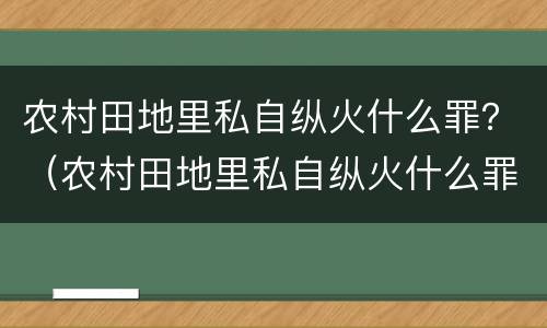 农村田地里私自纵火什么罪？（农村田地里私自纵火什么罪名）