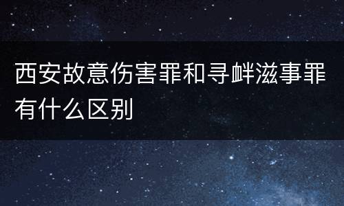 西安故意伤害罪和寻衅滋事罪有什么区别