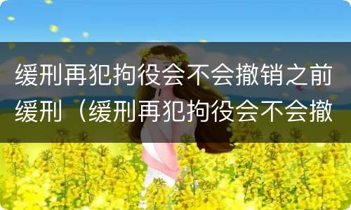 缓刑再犯拘役会不会撤销之前缓刑（缓刑再犯拘役会不会撤销之前缓刑的案件）