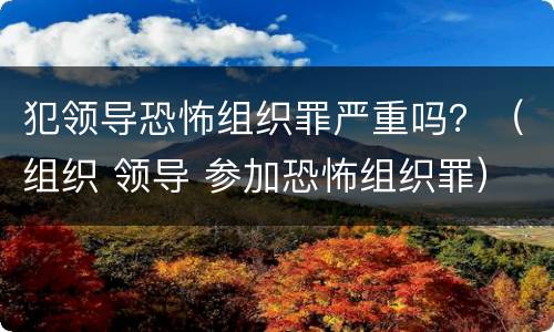 犯领导恐怖组织罪严重吗？（组织 领导 参加恐怖组织罪）
