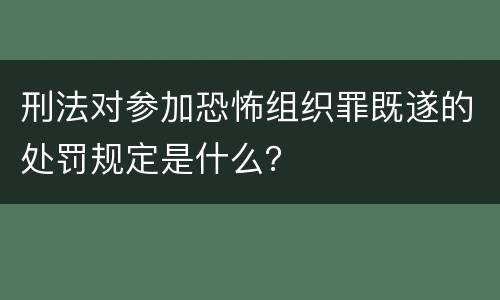 刑法对参加恐怖组织罪既遂的处罚规定是什么？