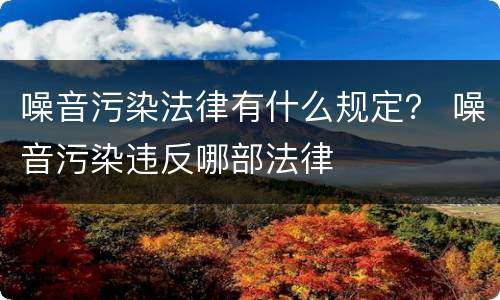 噪音污染法律有什么规定？ 噪音污染违反哪部法律