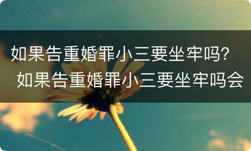 如果告重婚罪小三要坐牢吗？ 如果告重婚罪小三要坐牢吗会判刑吗