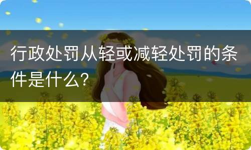 行政处罚从轻或减轻处罚的条件是什么？