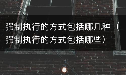 强制执行的方式包括哪几种（强制执行的方式包括哪些）