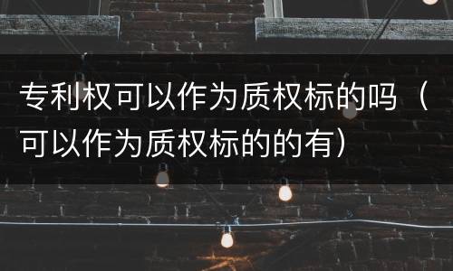 专利权可以作为质权标的吗（可以作为质权标的的有）