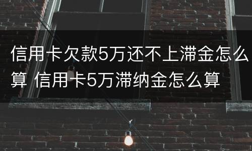 信用卡欠款5万还不上滞金怎么算 信用卡5万滞纳金怎么算