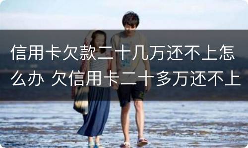 信用卡欠款二十几万还不上怎么办 欠信用卡二十多万还不上怎么办