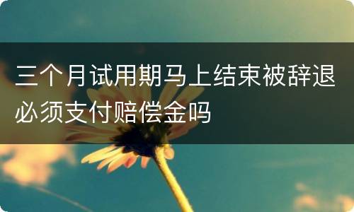 三个月试用期马上结束被辞退必须支付赔偿金吗