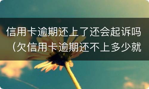 信用卡逾期还上了还会起诉吗（欠信用卡逾期还不上多少就可以起诉了）