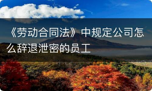 《劳动合同法》中规定公司怎么辞退泄密的员工