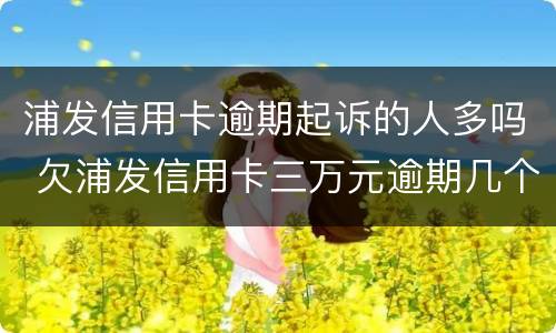 浦发信用卡逾期起诉的人多吗 欠浦发信用卡三万元逾期几个月会被起诉呢