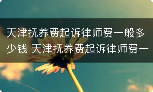 天津抚养费起诉律师费一般多少钱 天津抚养费起诉律师费一般多少钱一次