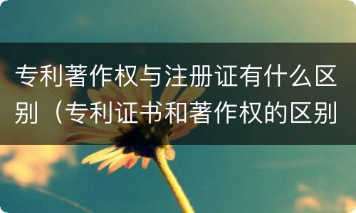 专利著作权与注册证有什么区别（专利证书和著作权的区别）