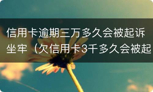 信用卡逾期三万多久会被起诉坐牢（欠信用卡3千多久会被起诉）