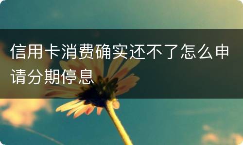 信用卡消费确实还不了怎么申请分期停息