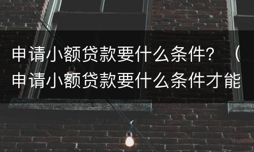 申请小额贷款要什么条件？（申请小额贷款要什么条件才能申请）