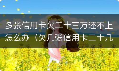 多张信用卡欠二十三万还不上怎么办（欠几张信用卡二十几万无能力还了怎么办）