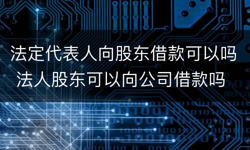 法定代表人向股东借款可以吗 法人股东可以向公司借款吗