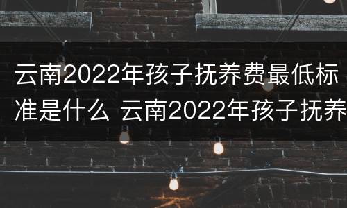 云南2022年孩子抚养费最低标准是什么 云南2022年孩子抚养费最低标准是什么呢