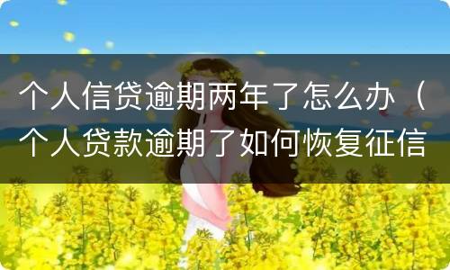 个人信贷逾期两年了怎么办（个人贷款逾期了如何恢复征信）