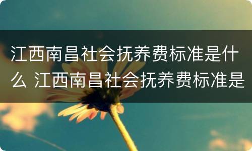 江西南昌社会抚养费标准是什么 江西南昌社会抚养费标准是什么样的