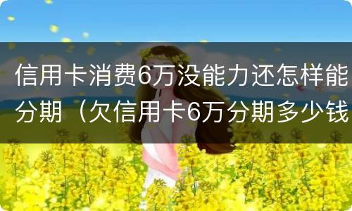 信用卡消费6万没能力还怎样能分期（欠信用卡6万分期多少钱）