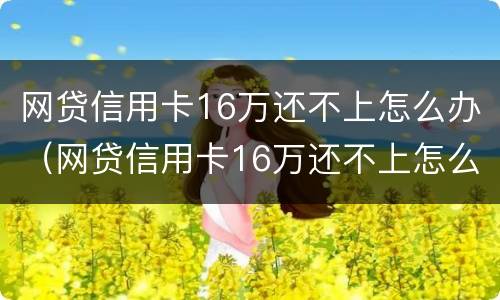 网贷信用卡16万还不上怎么办（网贷信用卡16万还不上怎么办呢）