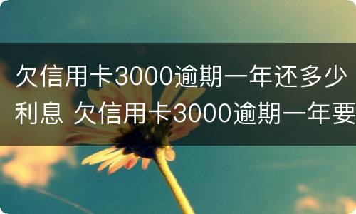 欠信用卡3000逾期一年还多少利息 欠信用卡3000逾期一年要还多少
