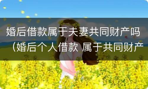 婚后借款属于夫妻共同财产吗（婚后个人借款 属于共同财产吗）