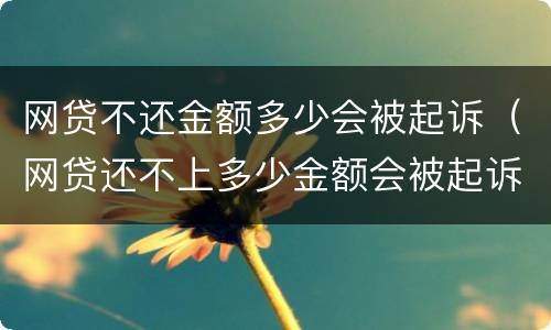 网贷不还金额多少会被起诉（网贷还不上多少金额会被起诉）