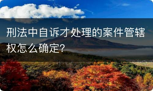 刑法中自诉才处理的案件管辖权怎么确定？