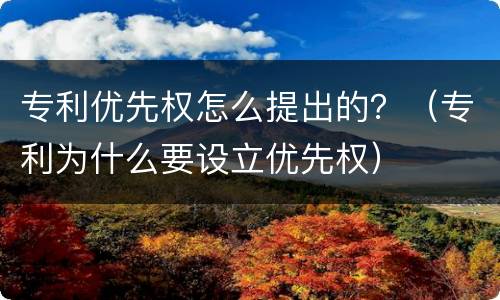 专利优先权怎么提出的？（专利为什么要设立优先权）