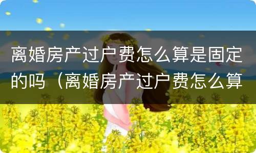 离婚房产过户费怎么算是固定的吗（离婚房产过户费怎么算是固定的吗江苏）