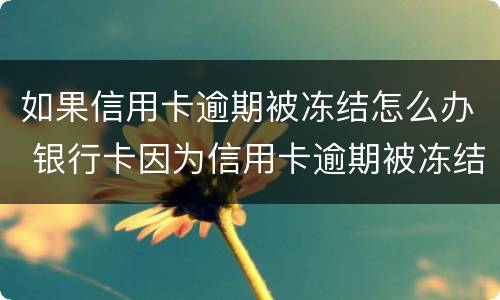 如果信用卡逾期被冻结怎么办 银行卡因为信用卡逾期被冻结怎么办