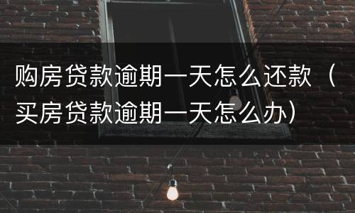 购房贷款逾期一天怎么还款（买房贷款逾期一天怎么办）