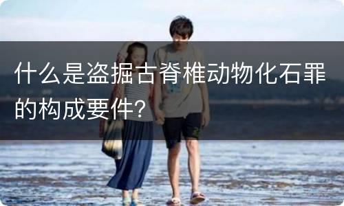 什么是盗掘古脊椎动物化石罪的构成要件？