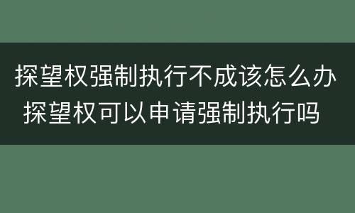 探望权强制执行不成该怎么办 探望权可以申请强制执行吗