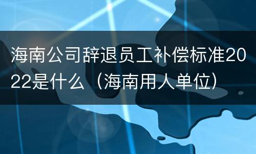 海南公司辞退员工补偿标准2022是什么（海南用人单位）