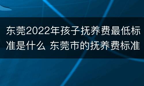 东莞2022年孩子抚养费最低标准是什么 东莞市的抚养费标准