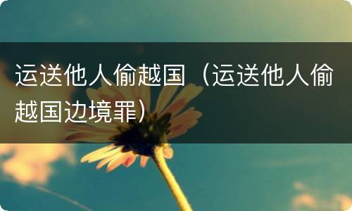 运送他人偷越国（运送他人偷越国边境罪）