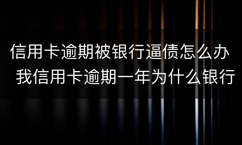 信用卡逾期被银行逼债怎么办 我信用卡逾期一年为什么银行没催我