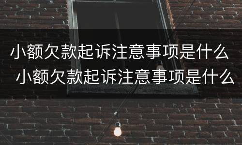 小额欠款起诉注意事项是什么 小额欠款起诉注意事项是什么原因