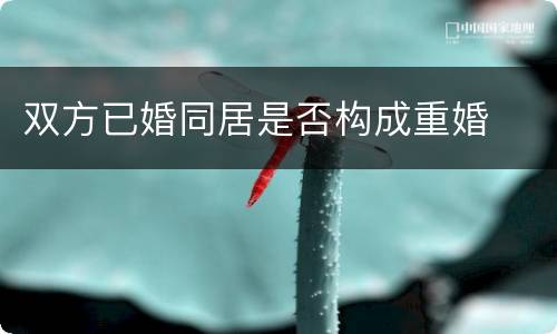 双方已婚同居是否构成重婚