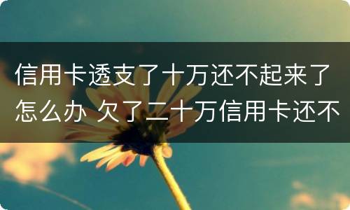 信用卡透支了十万还不起来了怎么办 欠了二十万信用卡还不起怎么办