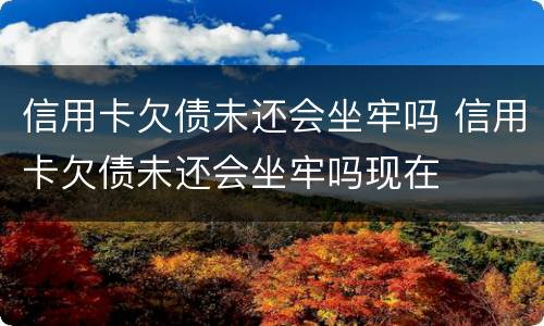 信用卡欠债未还会坐牢吗 信用卡欠债未还会坐牢吗现在