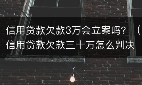 信用贷款欠款3万会立案吗？（信用贷款欠款三十万怎么判决）