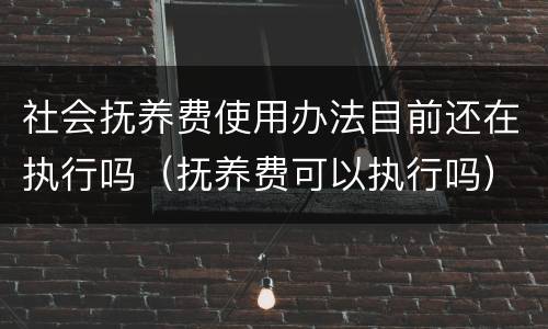 社会抚养费使用办法目前还在执行吗（抚养费可以执行吗）