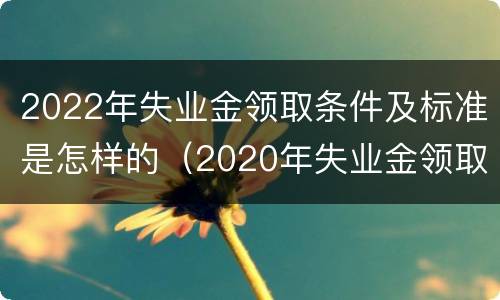 2022年失业金领取条件及标准是怎样的（2020年失业金领取条件及标准）